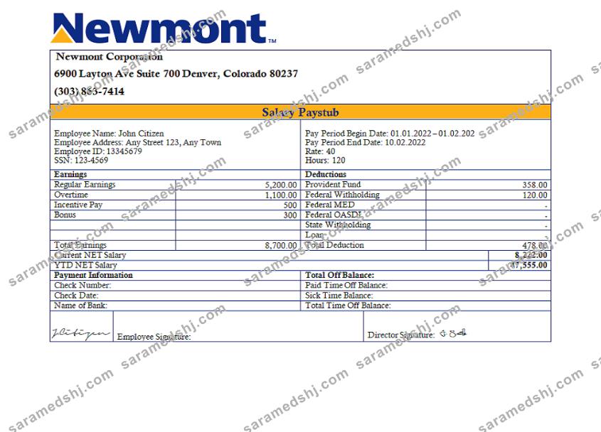 USA Newmont Corporation mining company pay stub